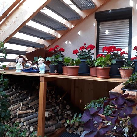 Apartchalet Sisi- Including Saalfelden Leogang Card Eksteriør billede